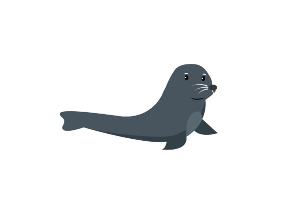307-Animal Seal Vector Illustration: Graphics & Illustrations