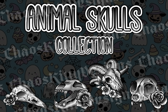 Animal Skulls: Witchy Illustrations & Graphics
