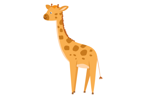 Baby Giraffe: Cute Zoo Animal, Wild Nature