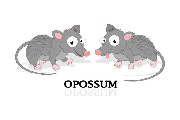Cute Opossum Animal Cartoon: Friendly Illustrations & Versatile Graphics