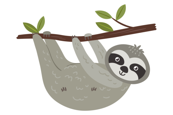 Cute Sloth Character. Tropical Animal on