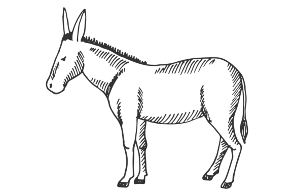 Donkey Sketch Graphics: Cute Farm Illustrations