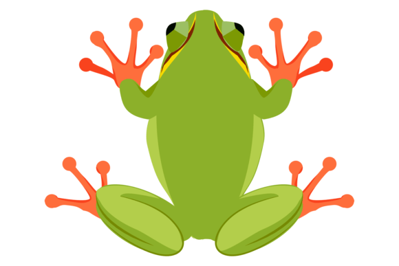 Green Frog. Jumping Wild Animal. Toad
