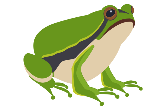Green Toad Graphics: Wild Nature Illustrations